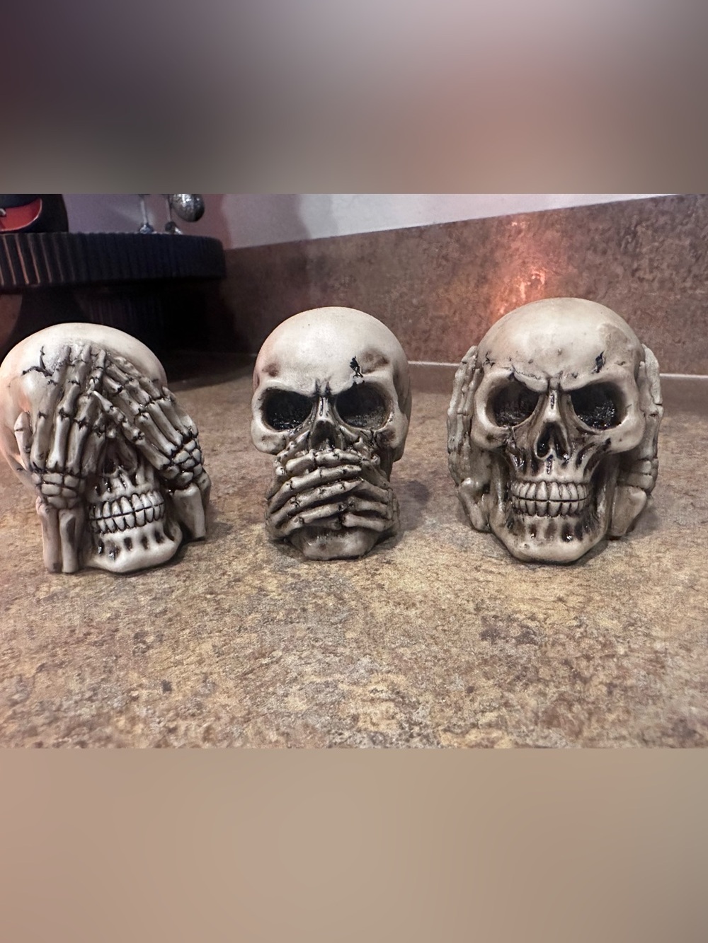 Skeleton Trio Decorative Skulls